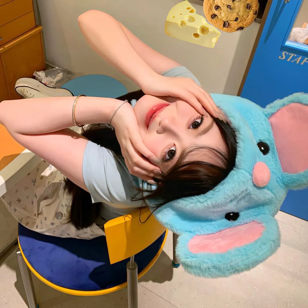 我的大明星
