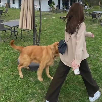 让他走